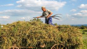 Российским аграриям упростят получение грантов
